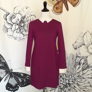 Cynthia Steffe “Alabama” Ponte Knit dress Maroon